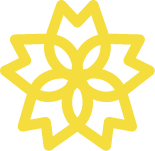 Odontologia Estética